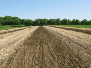 a recently tilled field