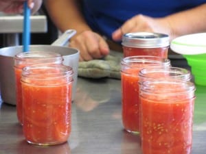 canning tomatoes