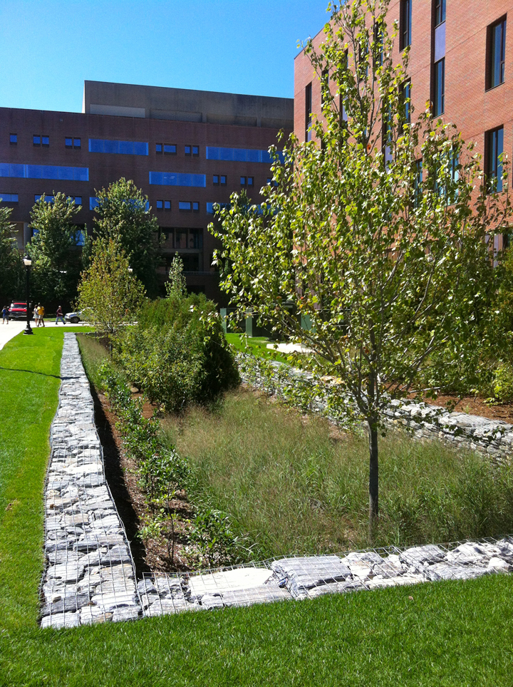 CLEAR Keeping Track of Stormwater on UConn Campus Extension News and