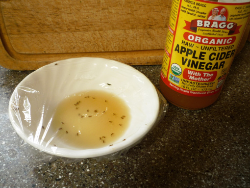 Apple cider deals vinegar for gnats