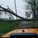 tree down across road in Brookfield, Connecticut on May 15, 2018
