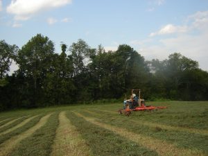 Man and his tractor on the field