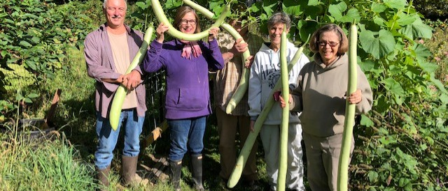 four people with vegetables harvested from the garden