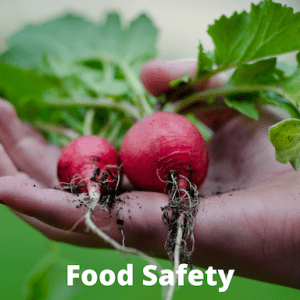radishes in a person's hand with the words food safety on the photo