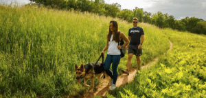 people walking dog on a trail