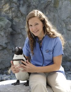 Allison D. Tuttle, DVM, Diplomate ACZM with a penguin