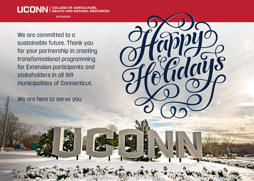 UConn sign in the snow with happy holidays text
