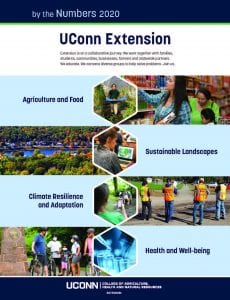 cover of 2020 Extension impact flyer