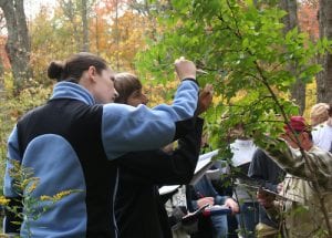 students and instructor looking at a tree in UConn Forest