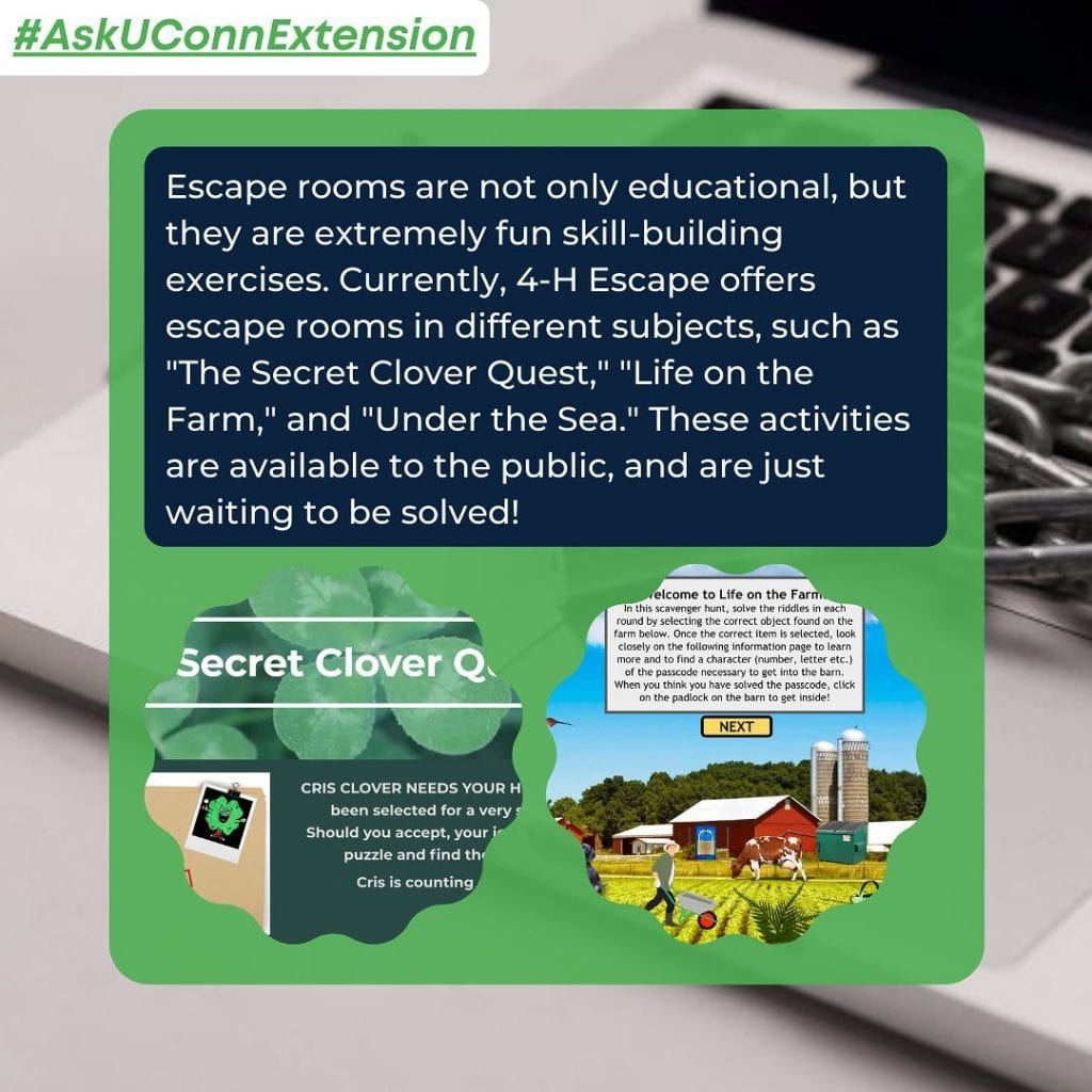 boxes with text, 4-h escape images and laptop background