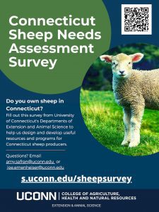 sheep survey poster