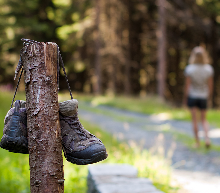 hiking boots hanging on tree stump on trail and people walking in the background