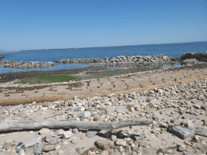 Connecticut shoreline and living shoreline