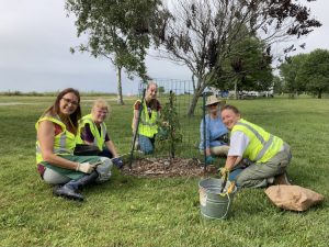 Friends’ Garden Team weeding and mulching one of the 20 native Acer rubrum and Nyssa sylvatica they planted along the East Beach.