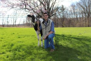 Michael Wolf holding a calf in the grass