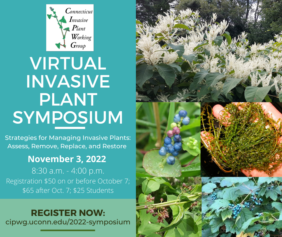 Poster for Virtual Invasive Plant Symposium