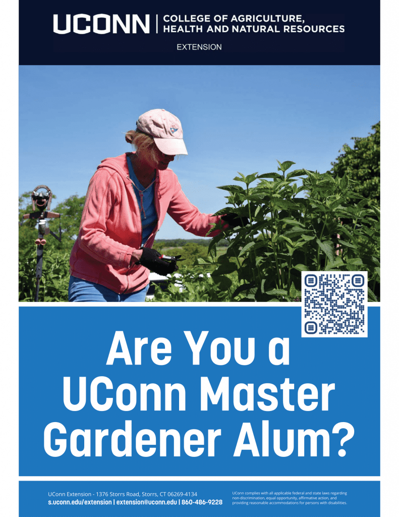 A woman is shown pruning a plant, with the words "Are You A UConn Master Gardener Alum" and a QR Code displayed, leading to the Alum Form.