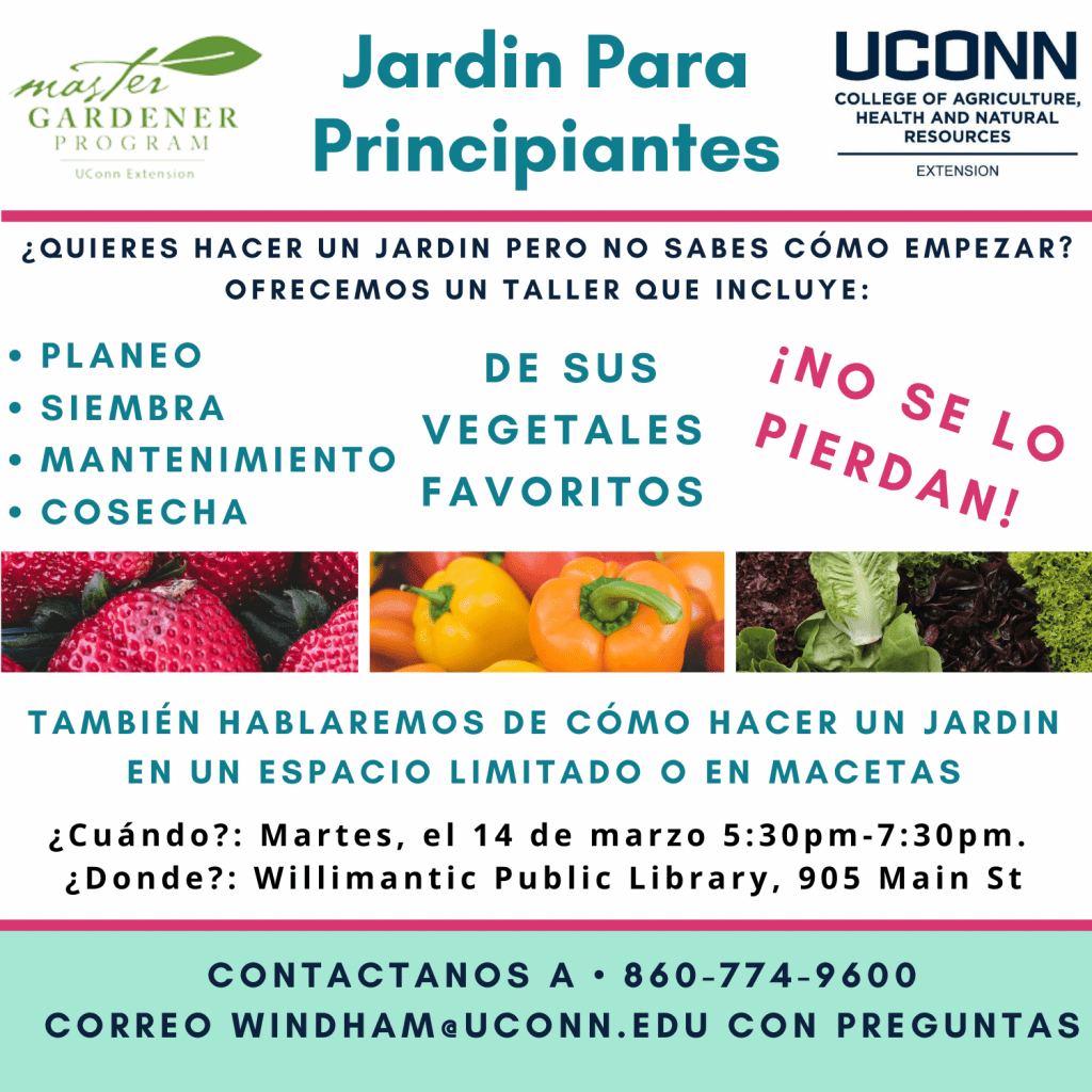 Flyer with information about upcoming Master Gardener event for spanish speakers at willimantic public library