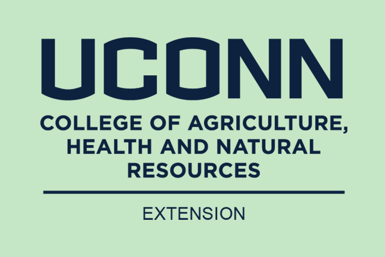 UConn Extension Internship Application Deadline Extended | Extension