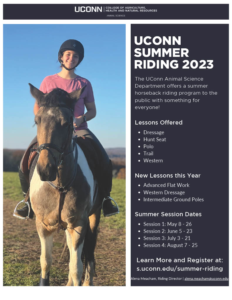 Infographic with a girl in a pink shirt on a horse advertising summer horseback riding lessons