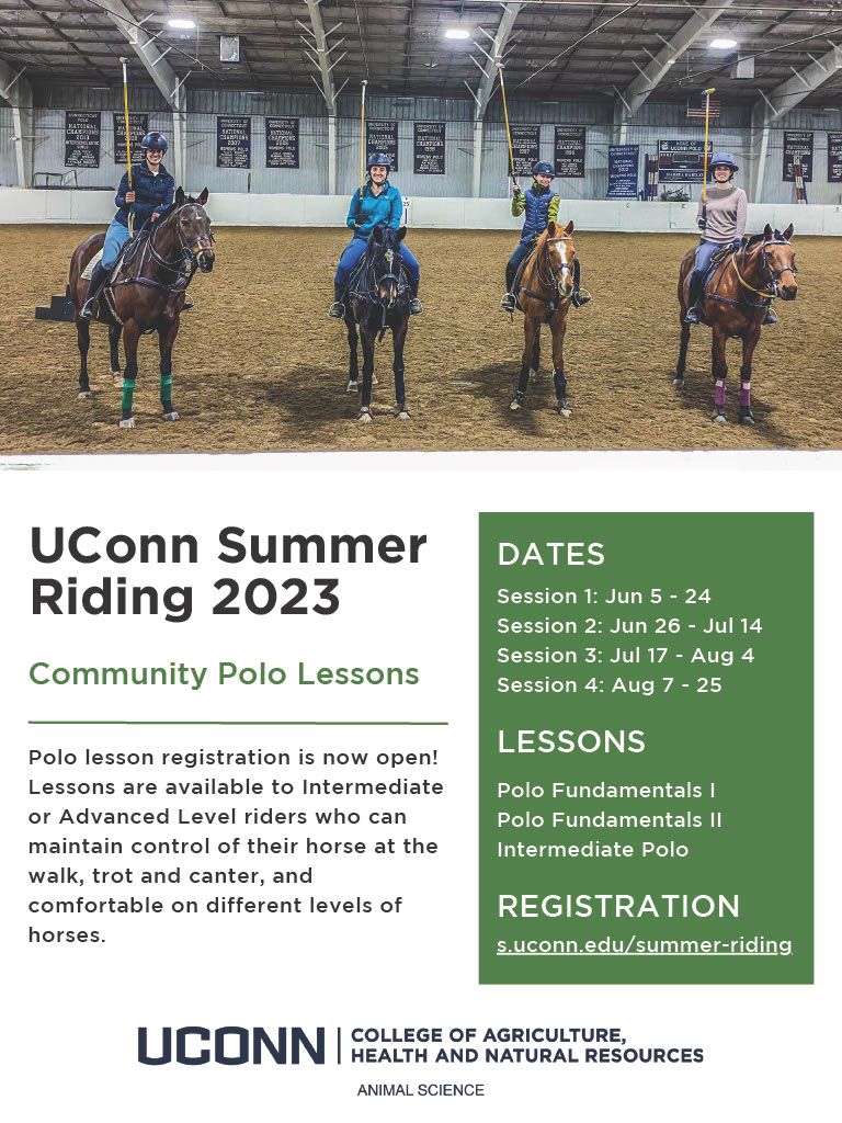 UConn Summer Riding Community Polo Lessons 2023 Extension News and