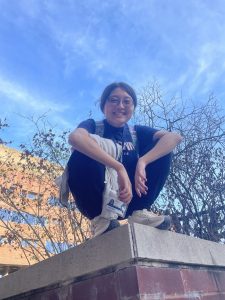 Gabby sitting on a pillar looking down at the camera