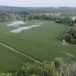 Flooded corn field aerial view