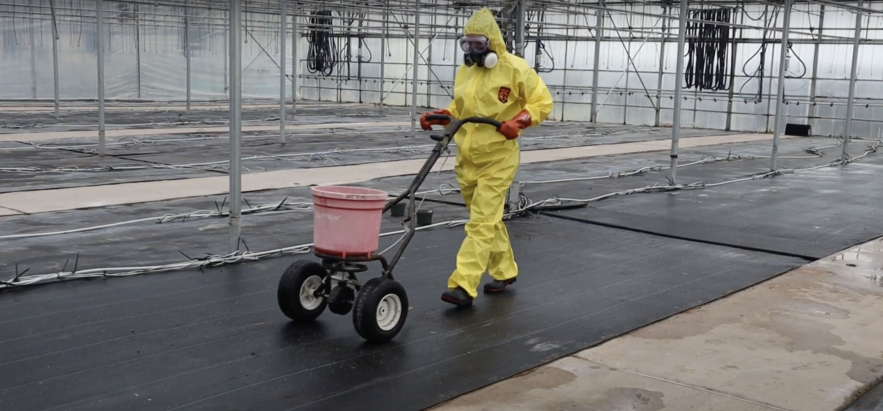 person in yellow safety suit pushing a cart with a red bucket on a black mat in the greenhouse