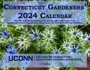 "Connecticut Gardner 2024 Calendar" written in blue with flowers in the background
