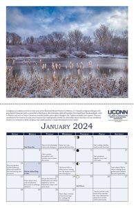 Calendar page of january 2024. with a pond and cattails 