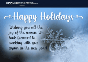 snowflake on blue background with words happy holidays