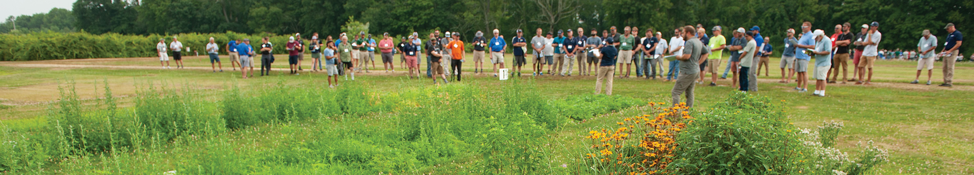 Turf training attendees in a field with flowers in the foreground