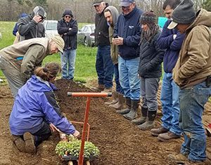 group looking at a plot of soil with hand equipment and plants