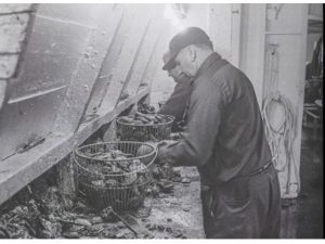 black and white photo of men sorting shellfish