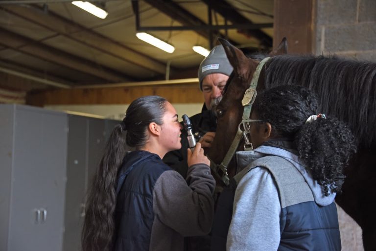 2 young women looking at a horse and a man standing behind the horse