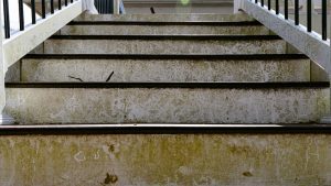 mold, dirt and debris on a staircase