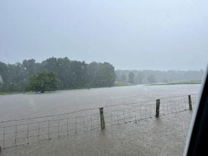 flooded field with fence in water