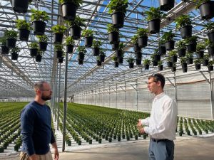 Charles Krasnow in a Connecticut greenhouse talking to a grower.