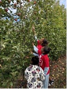 three kids reaching up to pick apples out of a tree