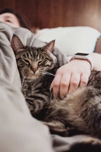 A person laying on a bed, holding a brown and grey cat underneath their arm.