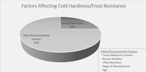 Figure 1. Factors affecting cold hardiness/frost resistance (E. Lentz, UConn)