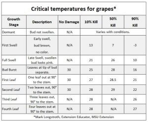 Table 5. Critical temperatures for grapes (M. Longstroth, MSU)