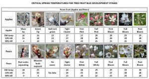 Table 1. Critical temperatures for various pome fruit (M. Longstroth, MSU)