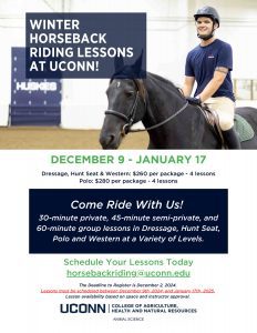 Horseback riding lesson flyer with man on black horse 