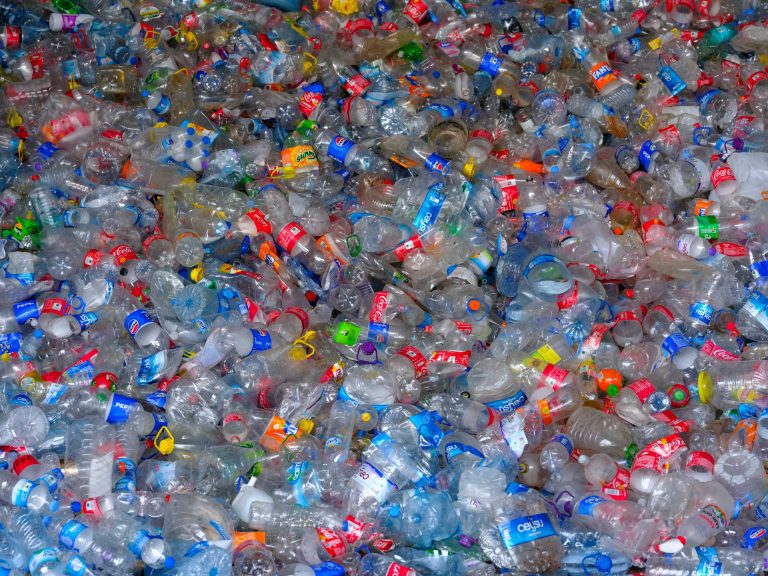 A bile of plastic waste, consisting of plastic bottles in various shapes with labels of caps in many colors.