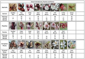 Table 2. Critical temperatures for various stone fruit (M. Longstroth, MSU)