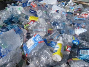 A pile of plastic waste. Water bottles, yougurt drink bottles, and more.