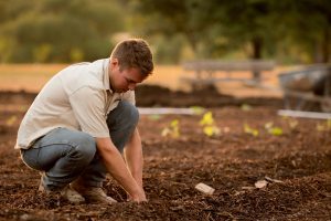 man with his hands in the soil, and plants behind him. 