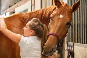 A woman in a white shirt hugging a brown horse inside of a stable.