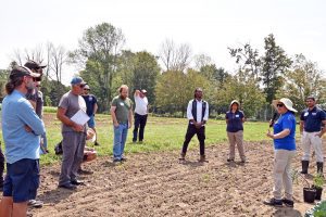 a group of farmers in a vegetable field